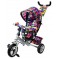 Велосипед Kids Trike E10